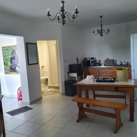 Les Studio De Kate. Le Jungle Appartement La Roche-Posay
