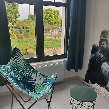 Les Studio De Kate. Le Jungle Appartement
