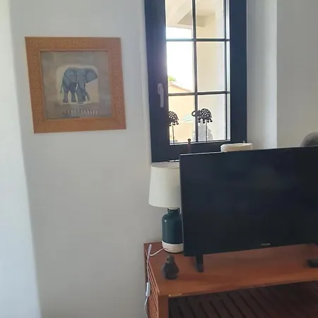 Les Studio De Kate. Le Jungle Appartement *