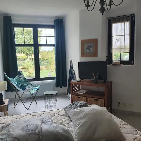 Les Studio De Kate. Le Jungle Appartement