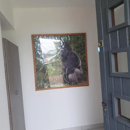 Appartement Les Studio De Kate. Le Jungle La Roche-Posay